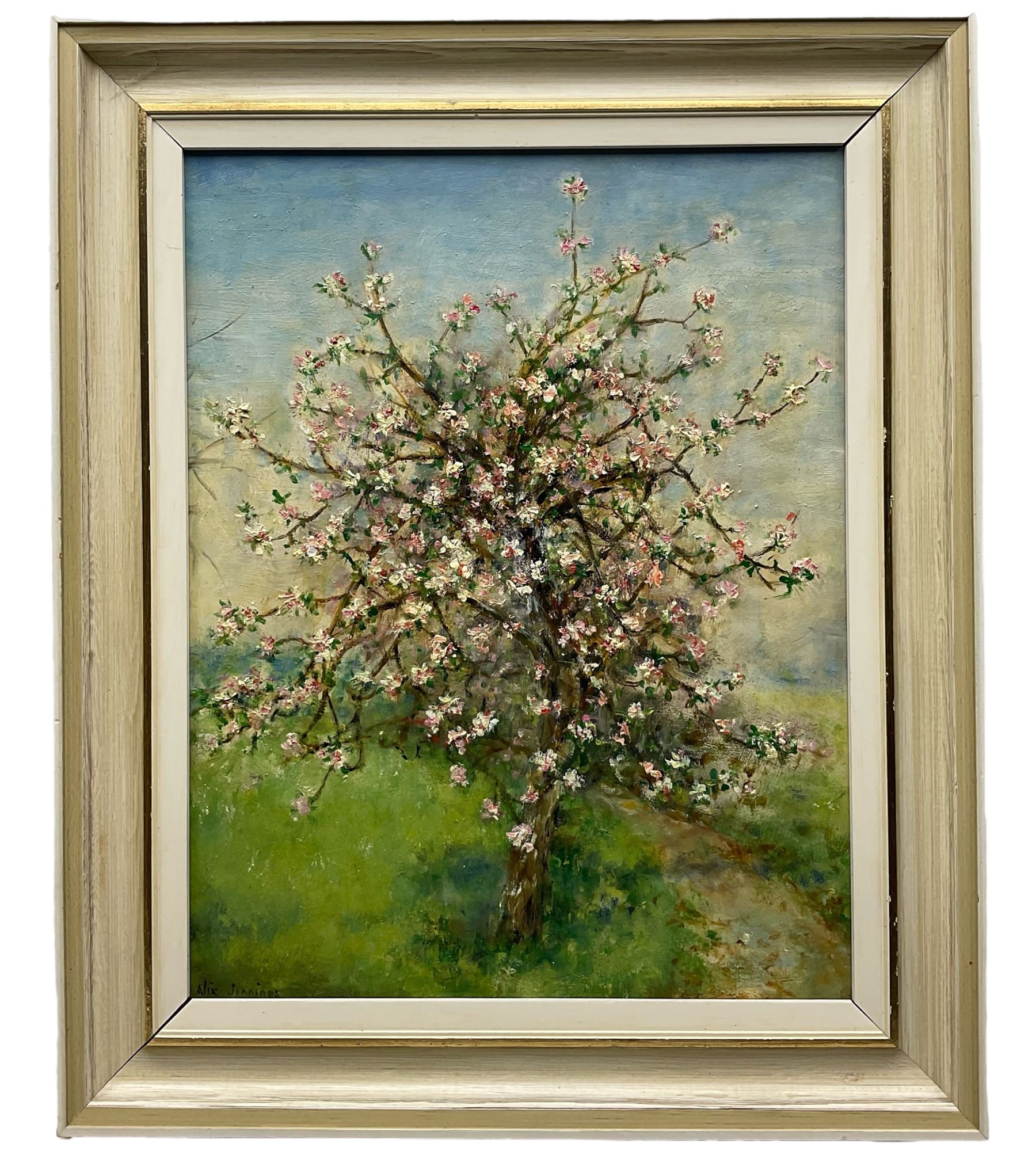 Alix Jennings (British 1884-1980): The Blossom Tree, oil on board signed 42cm x 33cm