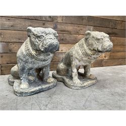 Pair of cast stone garden British bulldogs, on shaped plinths