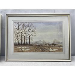 Norman Jackson (British 20th Century): 'Down Among the Birches' and Tracks Across the Field, two watercolours signed 31cm x 50cm (2)