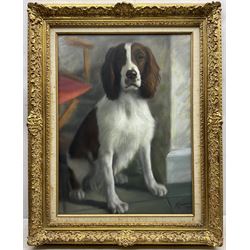 English School (20th Century): 'The Lady Beautiful' Spaniel Portrait, pastel indistinctly signed and dated '79, titled on label verso 60cm x 44cm 