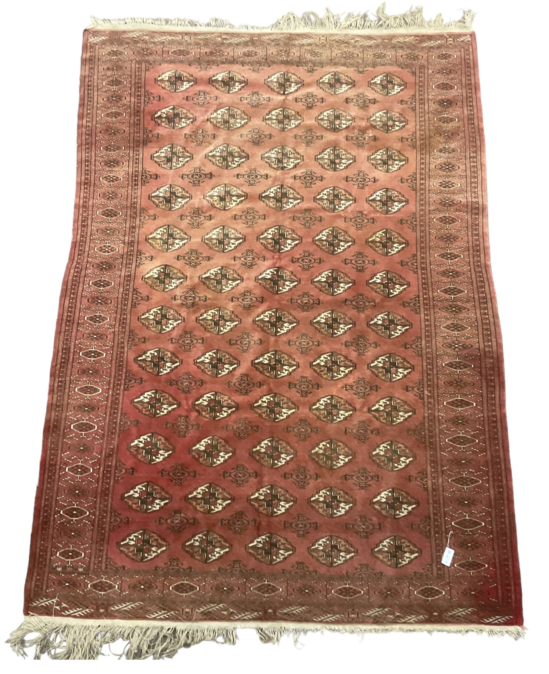 Afghan Bokhara red ground rug, the field decorated with five rows of Gul motifs, guarded border decorated with lozenges and geometric pattern 