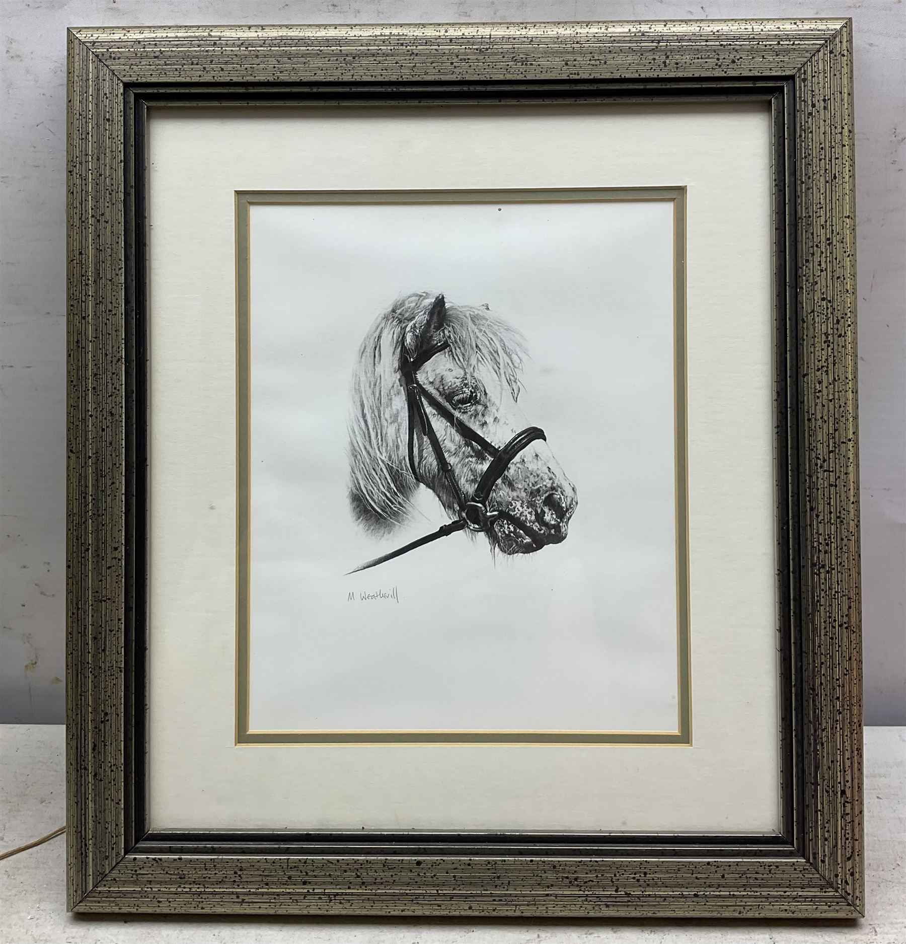 M Weatherill (British Late 20th century): 'Warrior' and other Horses, two pencil drawings signed max 24cm x 22cm (2) 
Notes: 'Warrior' was an ex-police horse, known for predicting the score of Middlesbrough F.C. football matches