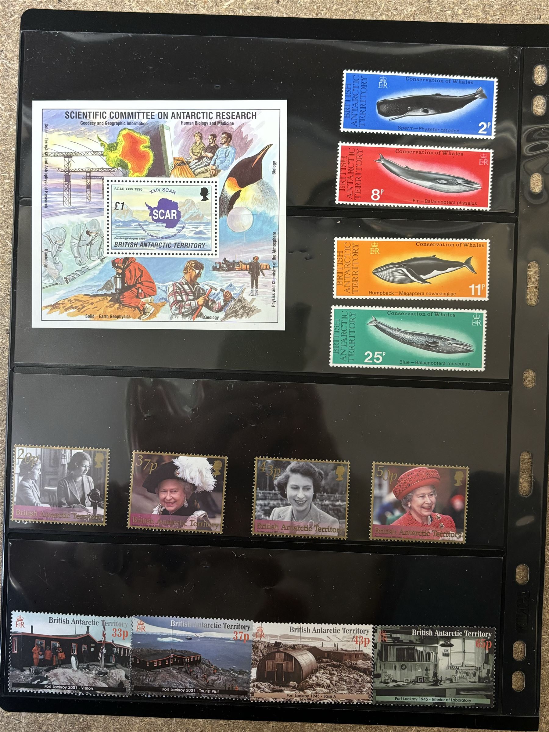 Queen Elizabeth II British Antarctic Territory mint stamps, including 1963-1969 SG 1 to 15a from half penny to both one pound values, 1993 SG 218-229 etc and a small number of Australian Antarctic Territory stamps, housed on stock pages