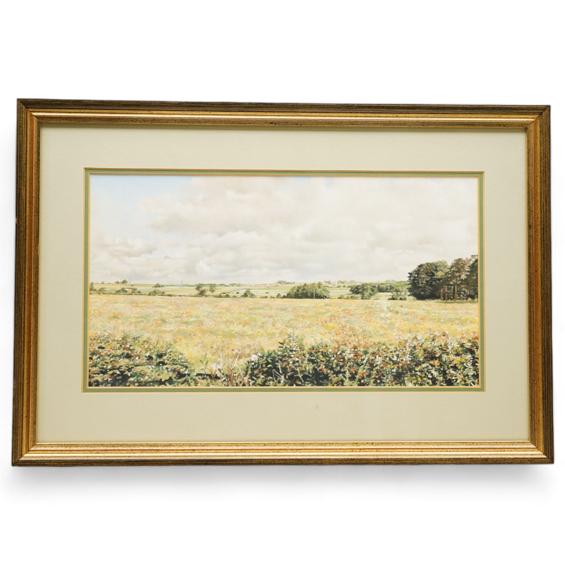 John Mawbey (British 20th Century): 'Poppy Field Near Langton - North Yorkshire', pastel signed titled and dated 1992, 20cm x 37cm 