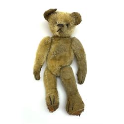 On Display: “Steiff and Friends: Vintage Teddy Bears”