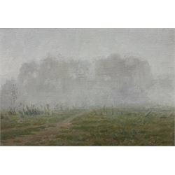 Rashit Habirov (Russian 1953-): Misty Landscape, oil on canvas signed and dated '89, 23cm x 34cm 