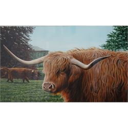 Richard Whittlestone (British 1963-): Highland Cattle with Copgrove Hall Beyond, acrylic on card signed and dated 1996, 51cm x 83cm