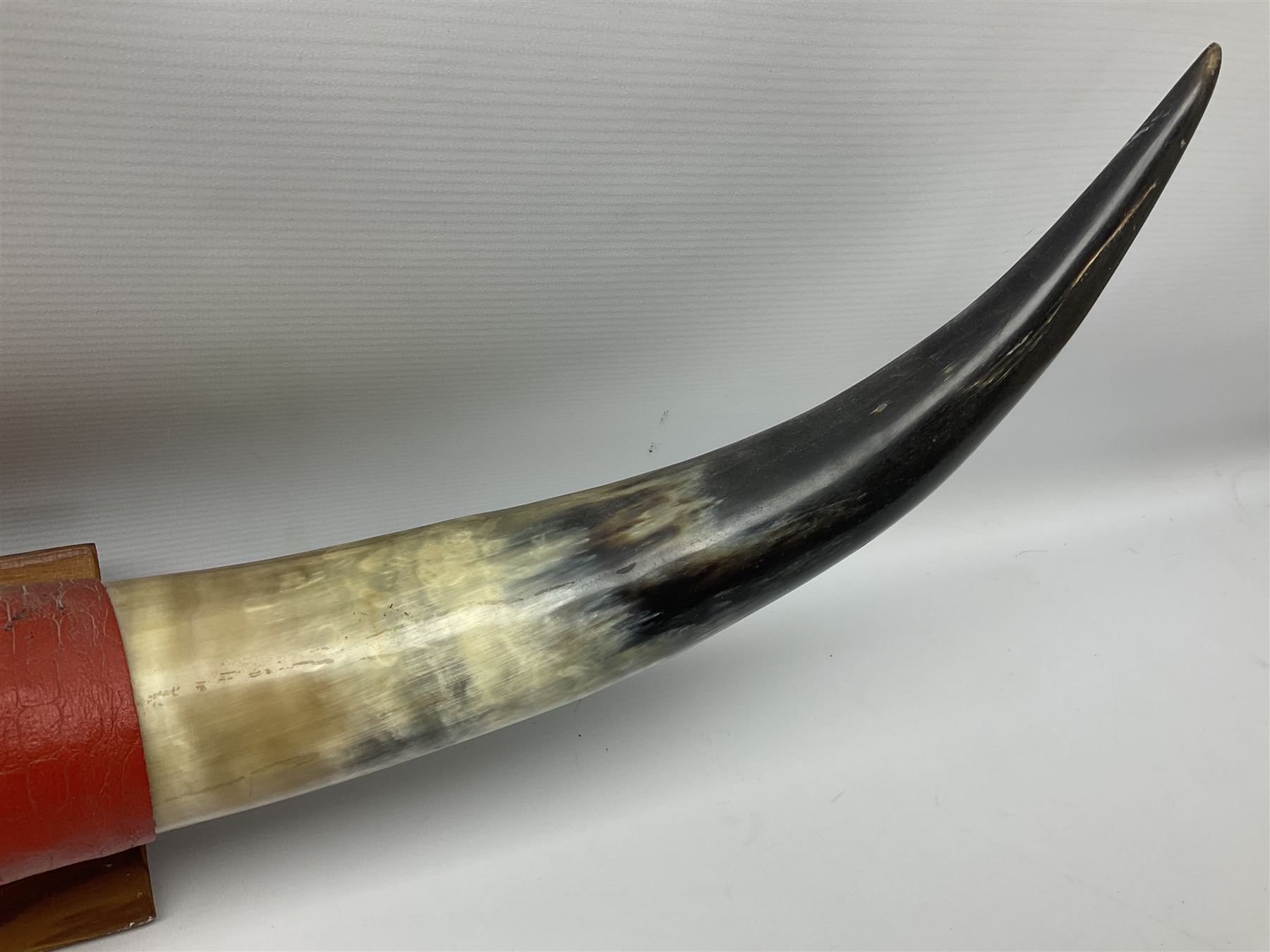 Pair of wall mounted cattle horns, L95cm