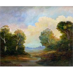 Bruce Kendall (British Contemporary): 'A Wooded Landscape', oil on canvas signed, titled v...