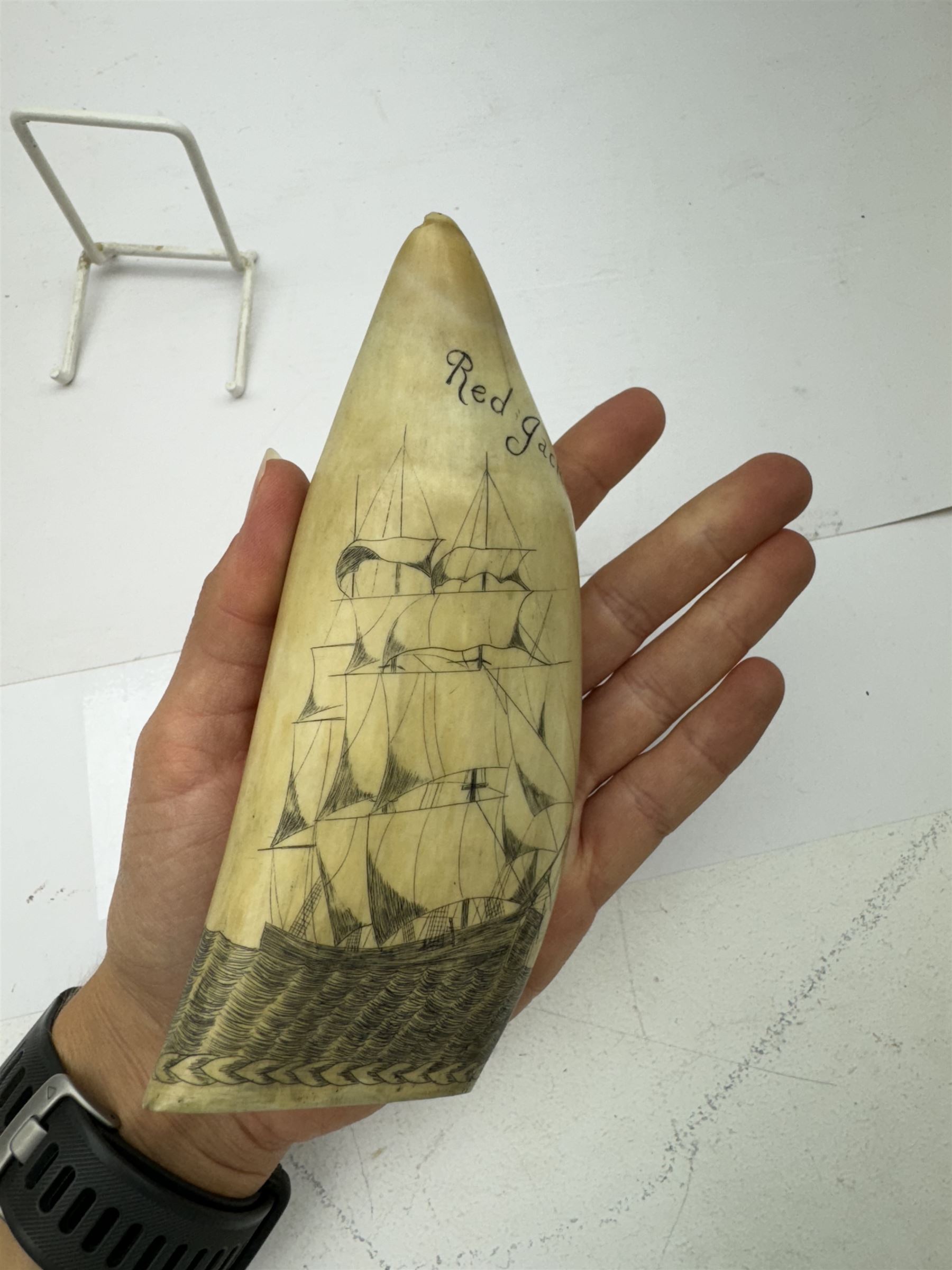 19th century scrimshaw sperm whale tooth, inscribed 1854 Lightening to one side and Red Jacket to the other with a ship at sea, H15cm 