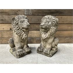 Pair of small weathered cast stone garden seated lions