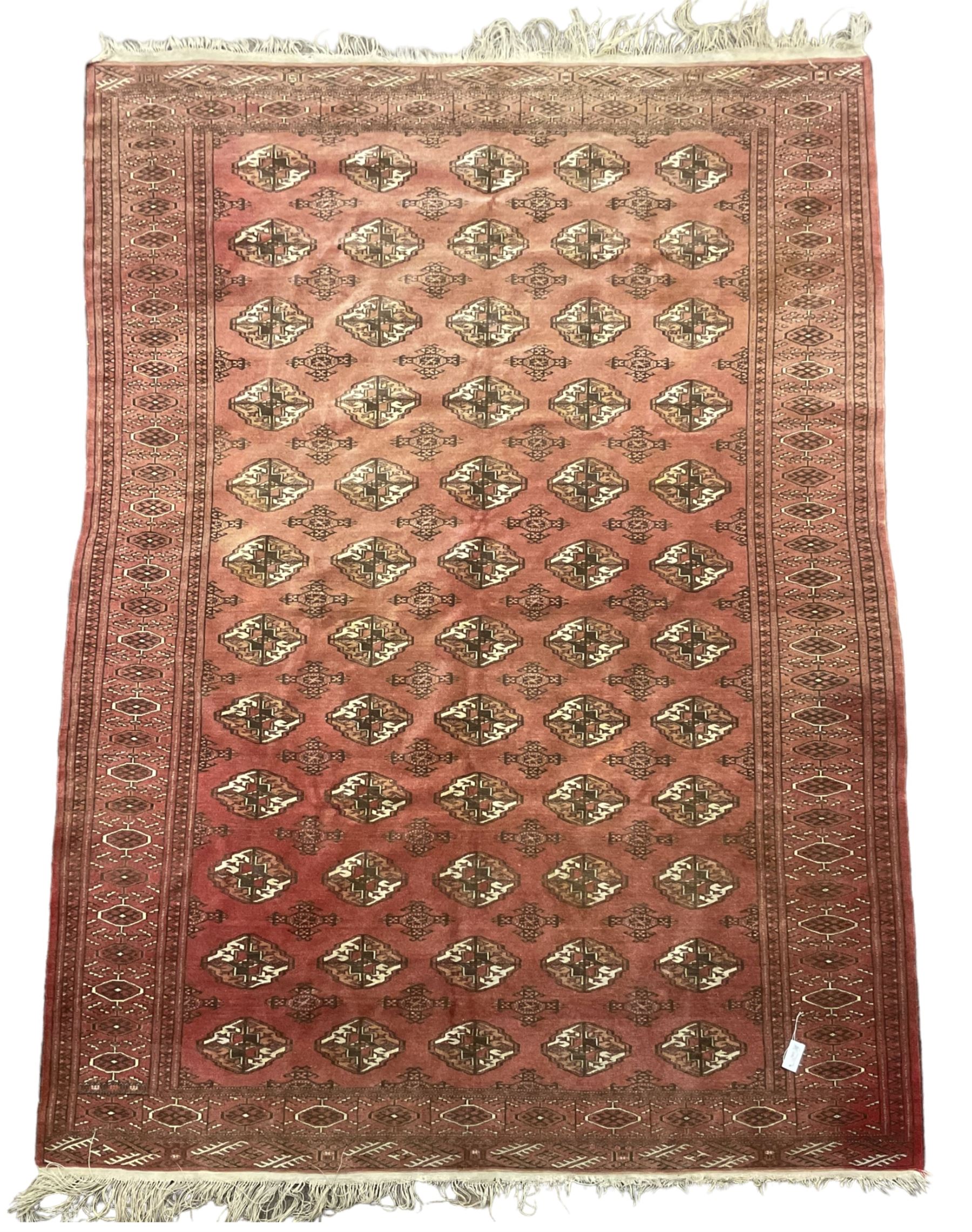 Afghan Bokhara red ground rug, the field decorated with five rows of Gul motifs, guarded border decorated with lozenges and geometric pattern 