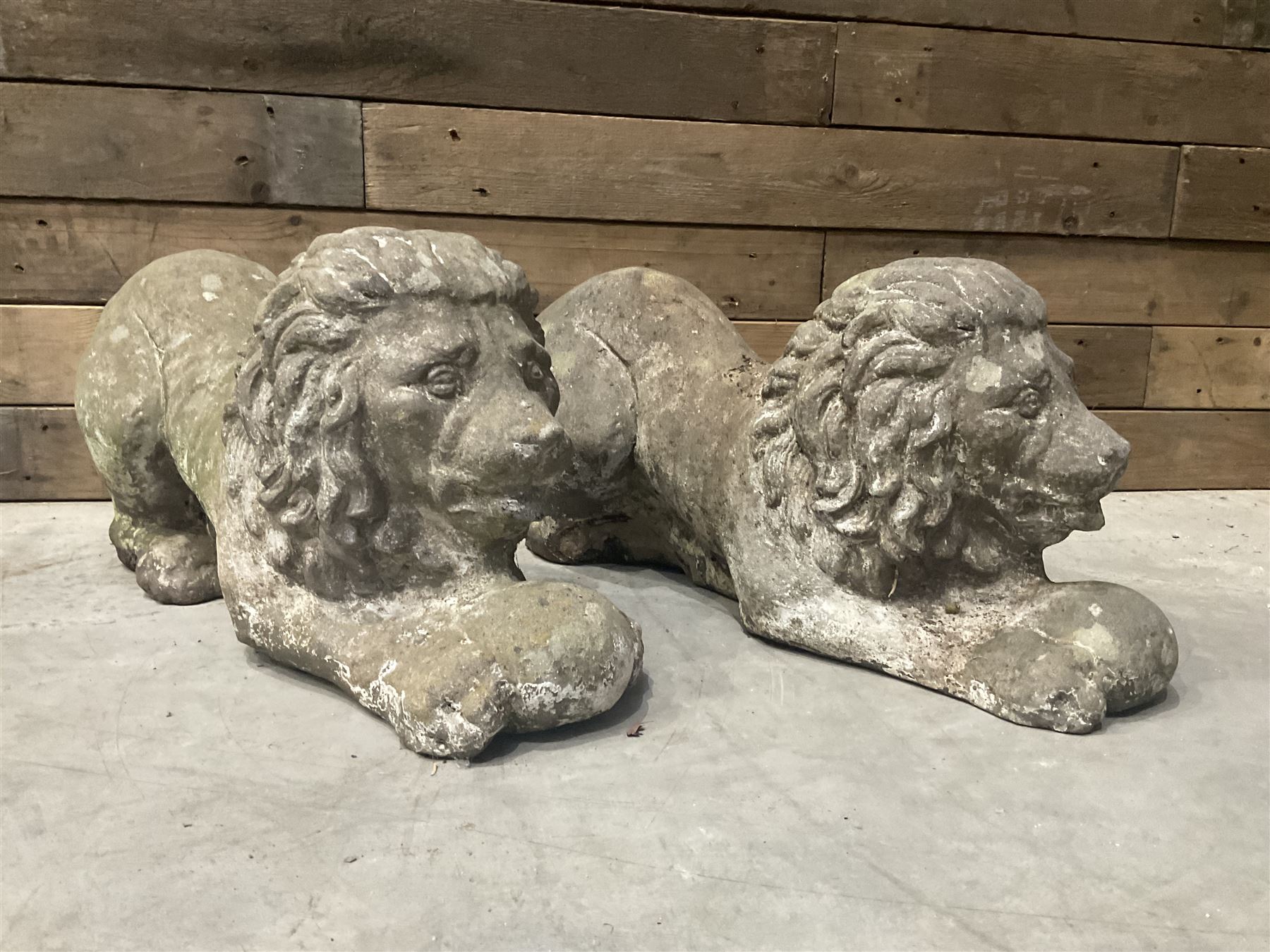 Pair of small cast stone garden recumbent lions