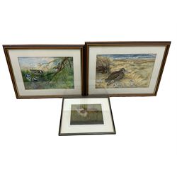 Jacqueline Hall: 'Blue Tit' and 'Woodcock', pair watercolours, and a similar watercolour of otters (3)