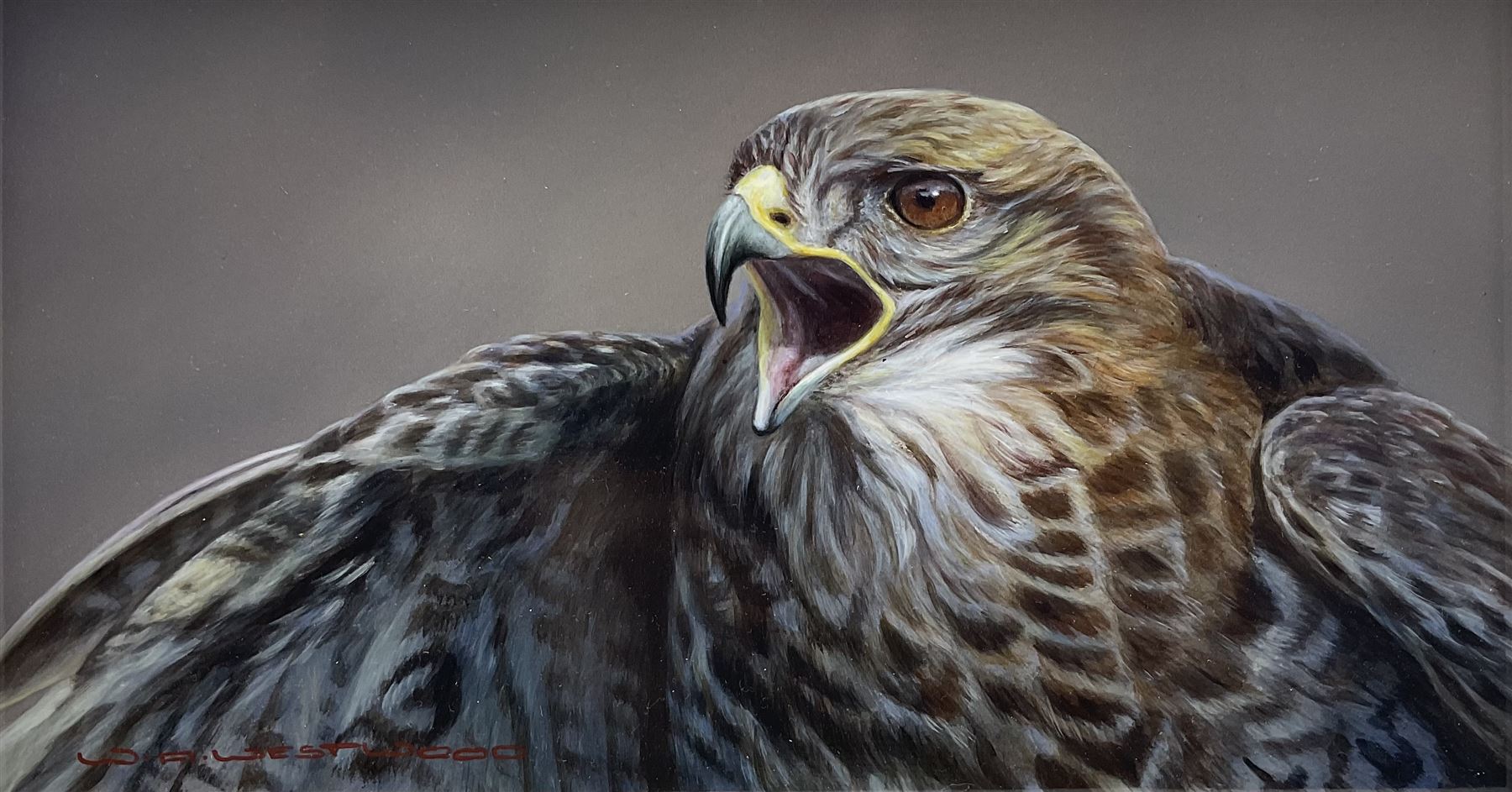 Wayne Westwood (British 1964-2021): Buzzard, oil on panel signed 19cm x 34cm 