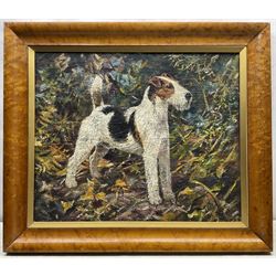 Frederick Thomas Daws (British 1878-1956): Wire Fox Terrier, oil on canvas unsigned 50cm x 61cm