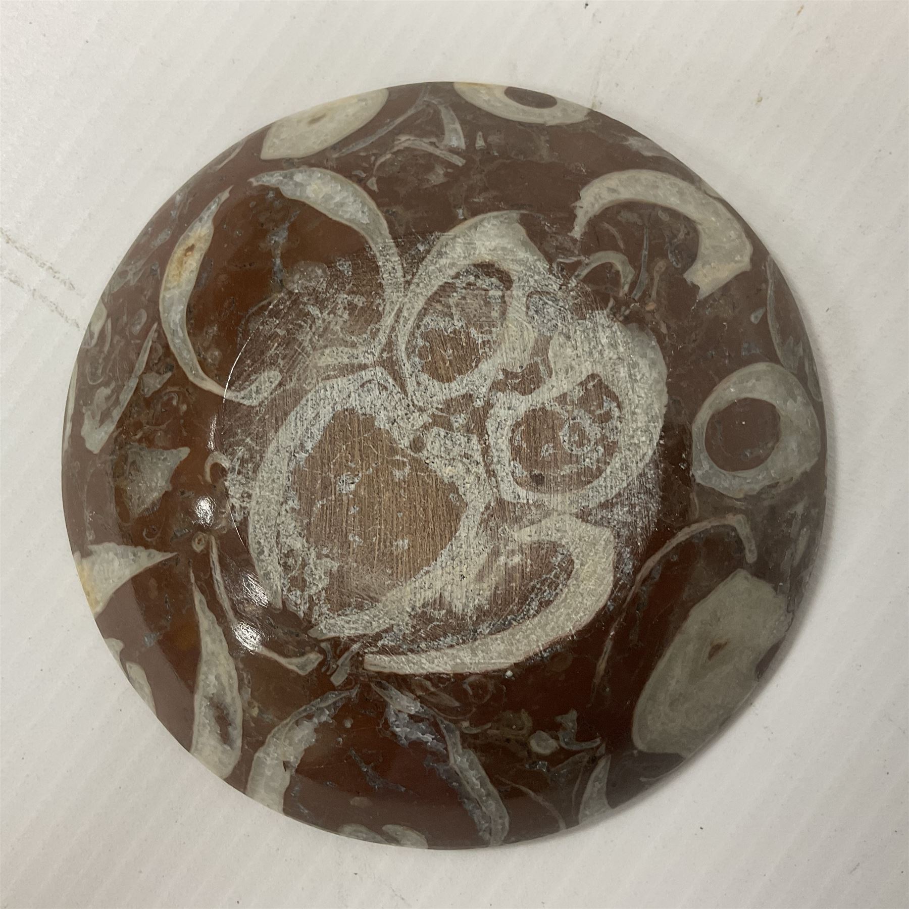 Pin dish with fossil inclusions, D10cm