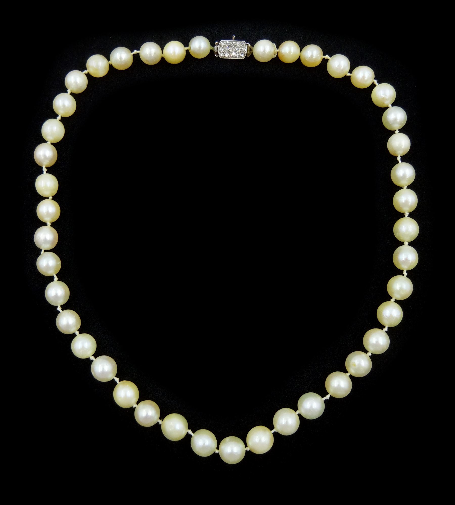 Single strand cream / white pearl necklace, with platinum old cut diamond clasp