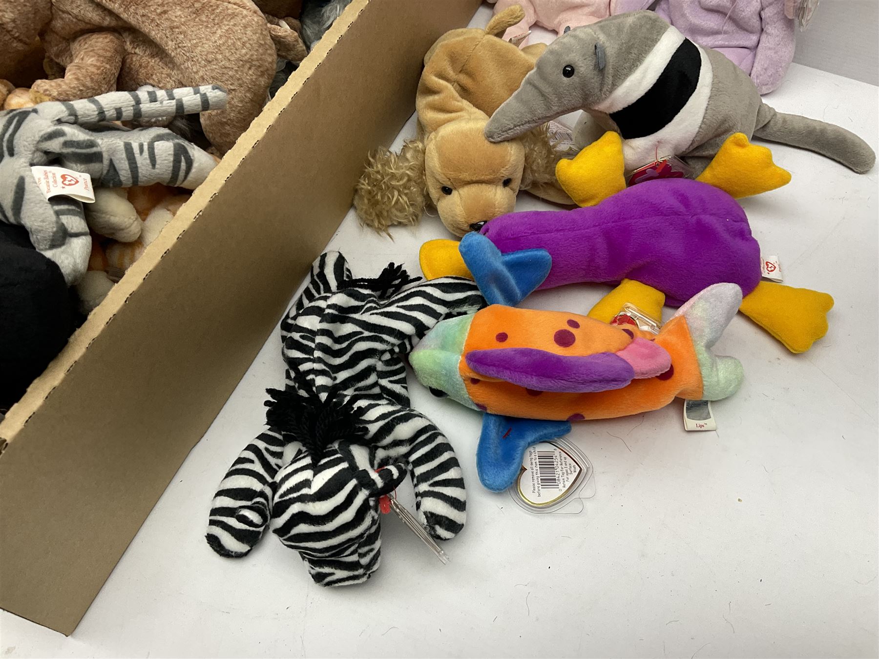 Fifty Ty Beanie babies, including Stinky, Lips, Ants, Zero, Spunky etc