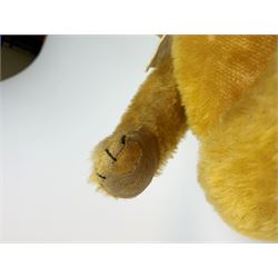 Schuco 'yes-no' teddy bear c1925 with wood wool filled short golden mohair body, linen pads with stitched claws and  tail-operated moving head with glass eyes and vertically stitched nose and mouth H18