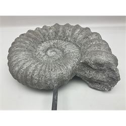 Composite Ammonite, raised on a wooden stepped plinth, H36cm