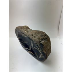 Polished petrified wood dish, some growth rings still visible and a blackened centre, texture to edge, H5cm