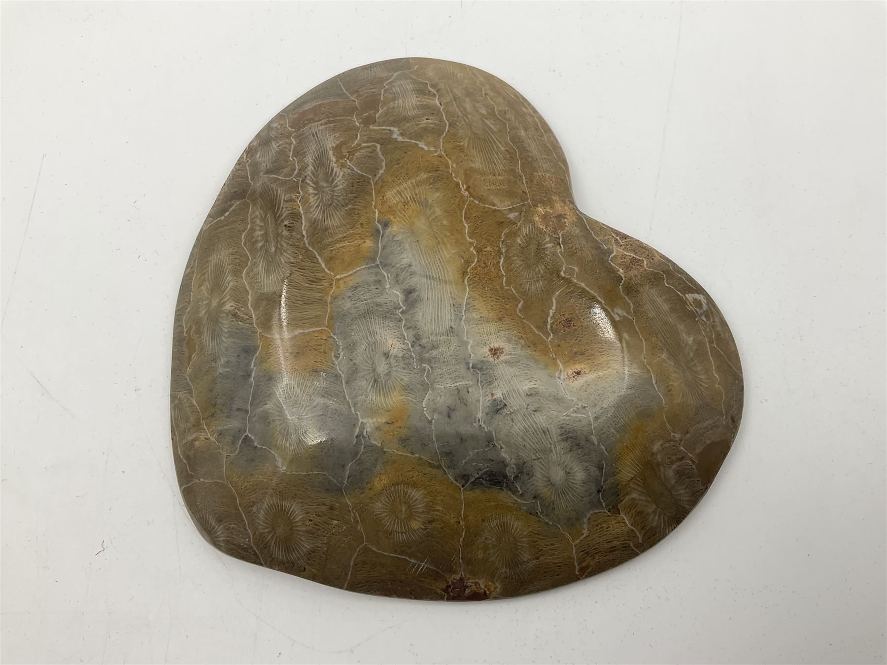 Fossilised coral dish in the form of a heart, D13cm