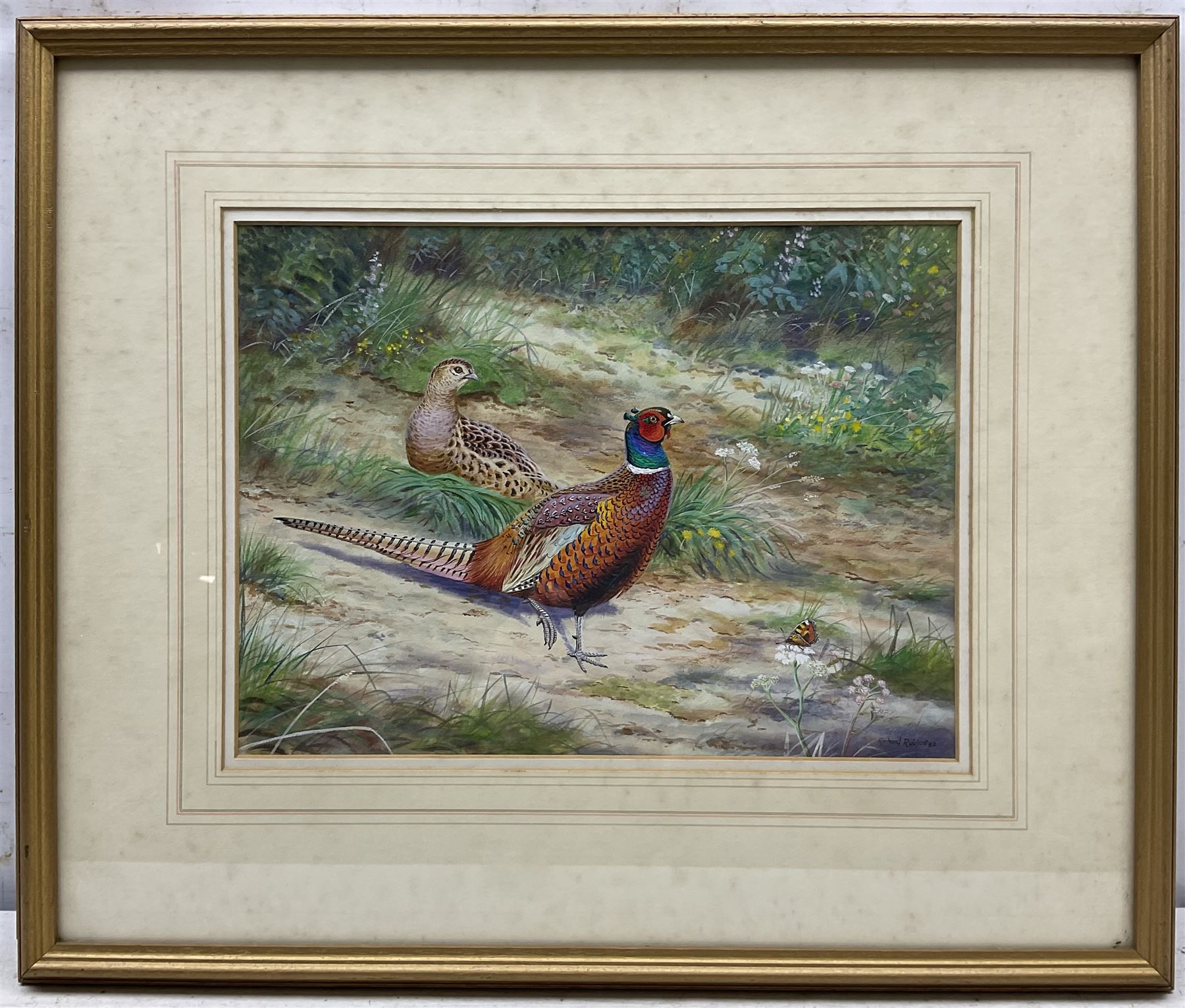 Richard Robjent (British 1937-): Pheasants and Butterfly, watercolour signed and dated '82, 25cm x 34cm