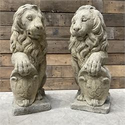 Pair of cast stone seated heraldic lions, looking left and right, mounted on square plinth