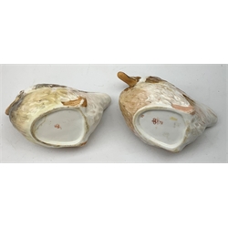 Two early 19th century Derby sauce boats, modelled in the form of birds, the head and neck forming the handle, each with painted mark beneath, largest L14cm