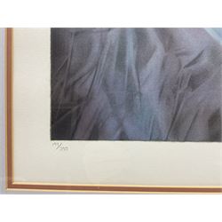 Douglas Hoffman (American 1945-): 'Dreaming', limited edition lithograph signed and numbered 197/395 in pencil 52cm x 94cm