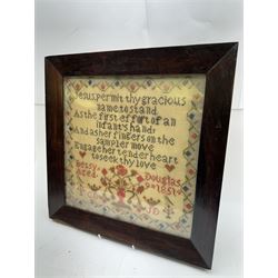 Victorian sampler by Betsy Douglas aged 9, worked with religious verse and urn of flowers, within a fruiting vine border, dated 1851 and further detailed with monograms CD and JD, within a rosewood frame, sampler 30.5cm x 30.5cm