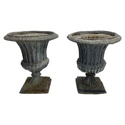 Pair of 19th century lead Campana shaped garden urns, egg and dart moulded rim, tapered fluted body over gadrooned underbelly, tapered and fluted foot on moulded square base 