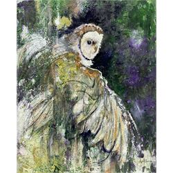 Ann Lamb (British 1955-): Tawny Owl, mixed media on canvas signed 51cm x 41cm (unframed)