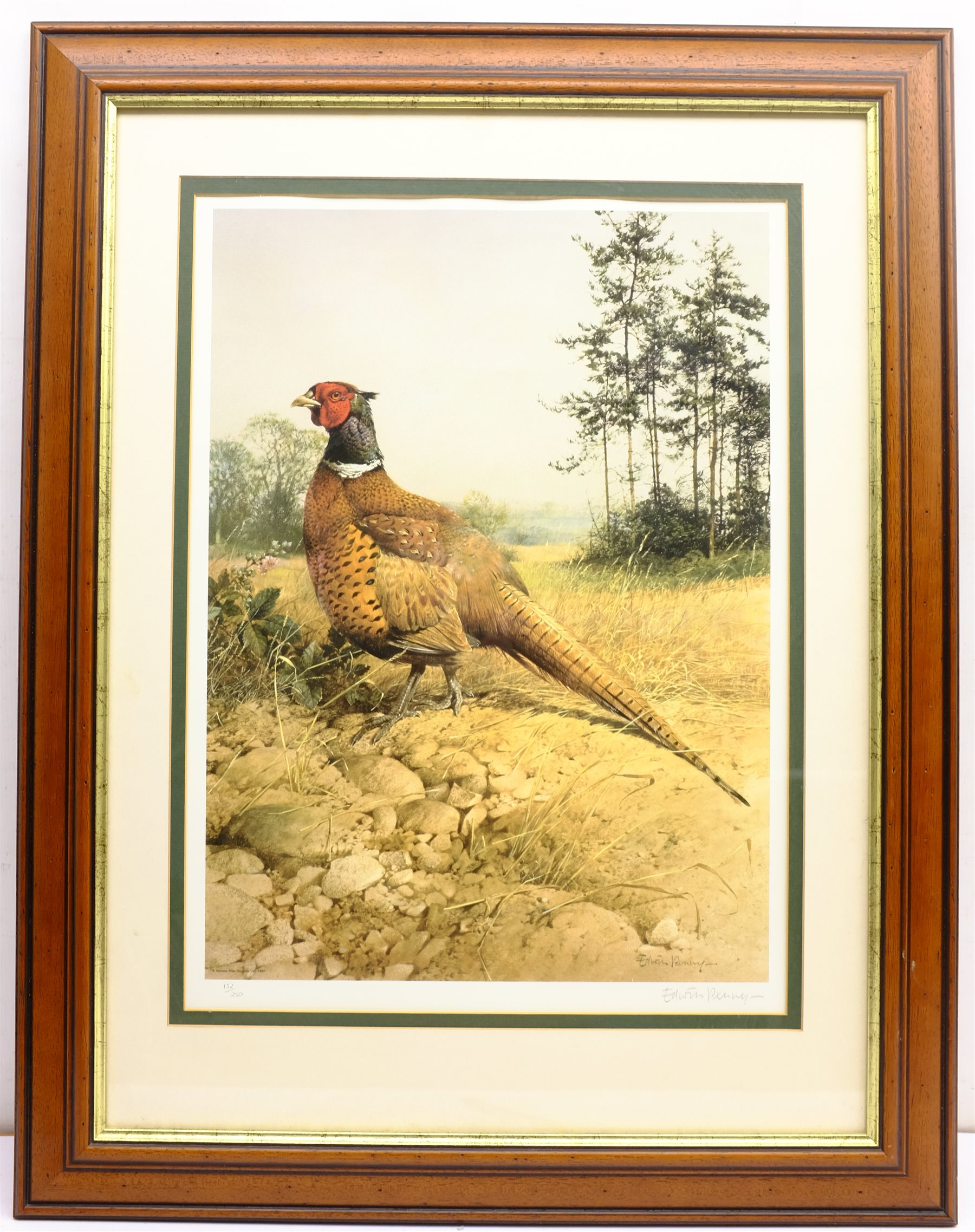 Edwin Penny (British 1930-): Pheasant, limited edition print pub. Venture Prints signed and numbered 152/250 in pencil 53cm x 39cm