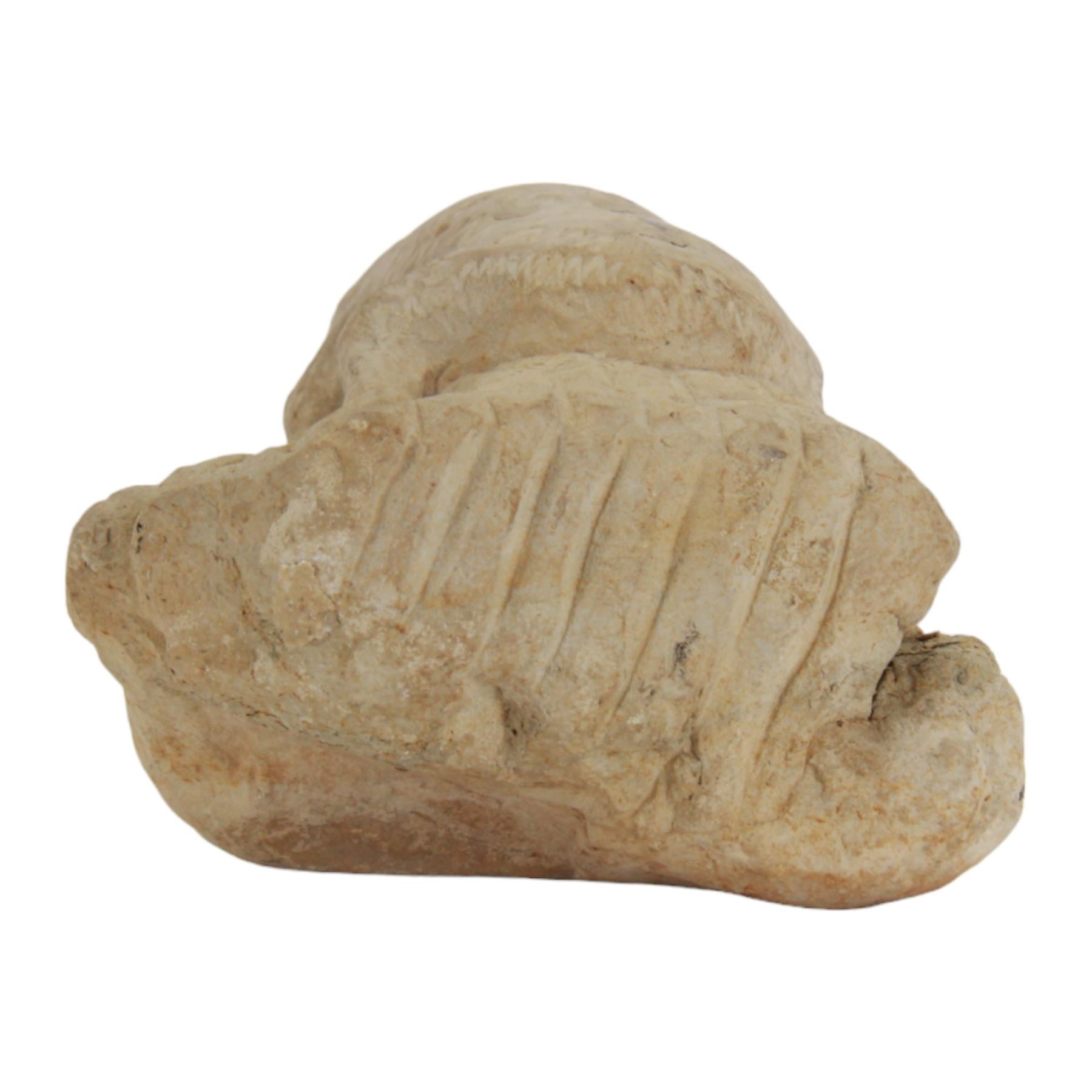 Pre-Columbian figure, probably limestone, carved as a lizard or frog upon a naturalistic base, H12cm