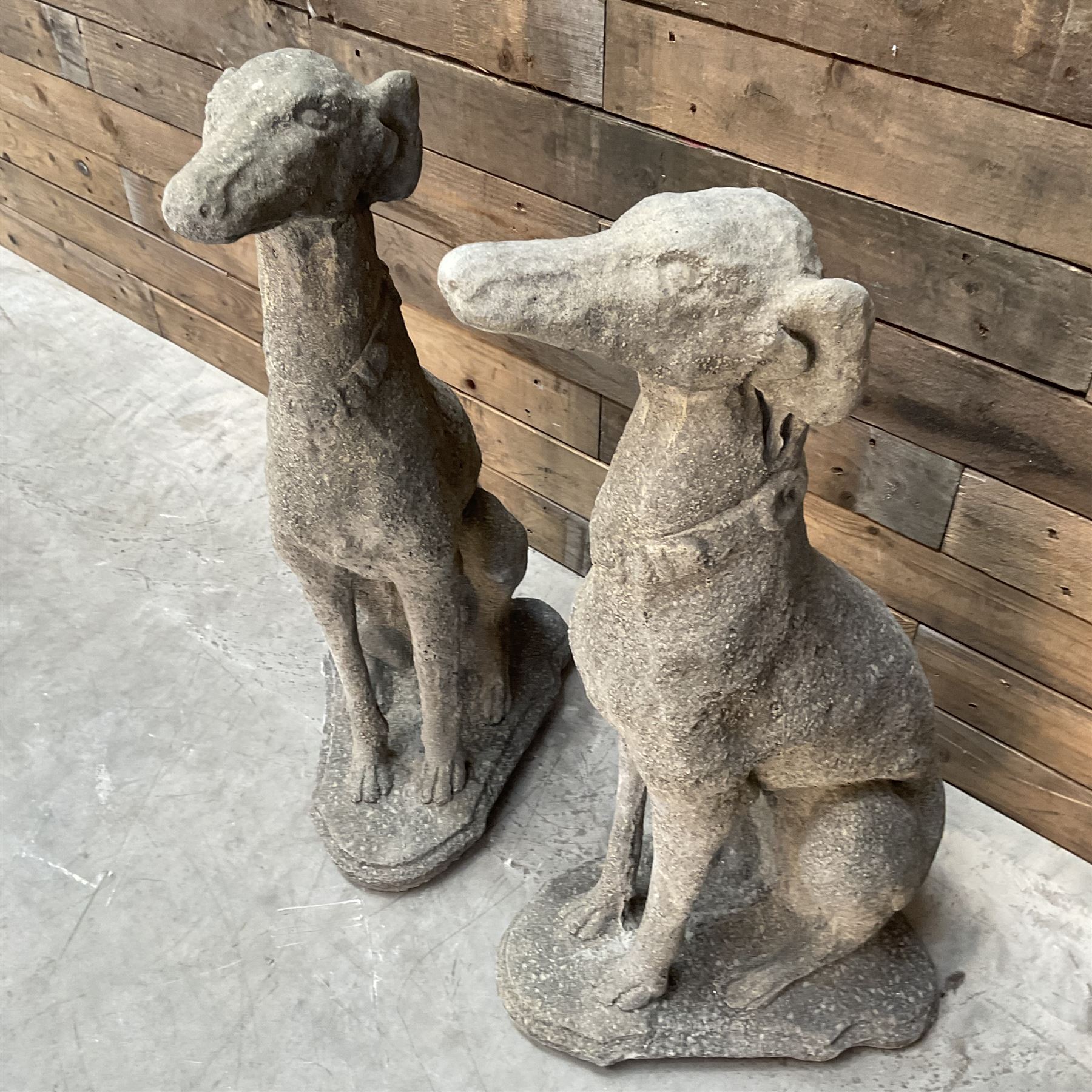 Pair of cast stone French lurchers, seated pose, on shaped plinth