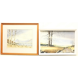 Norman Jackson (British 20th century): 'Buttermere' and 'Storm Clouds', two watercolours signed, titled verso, max 32cm x 49cm (2)