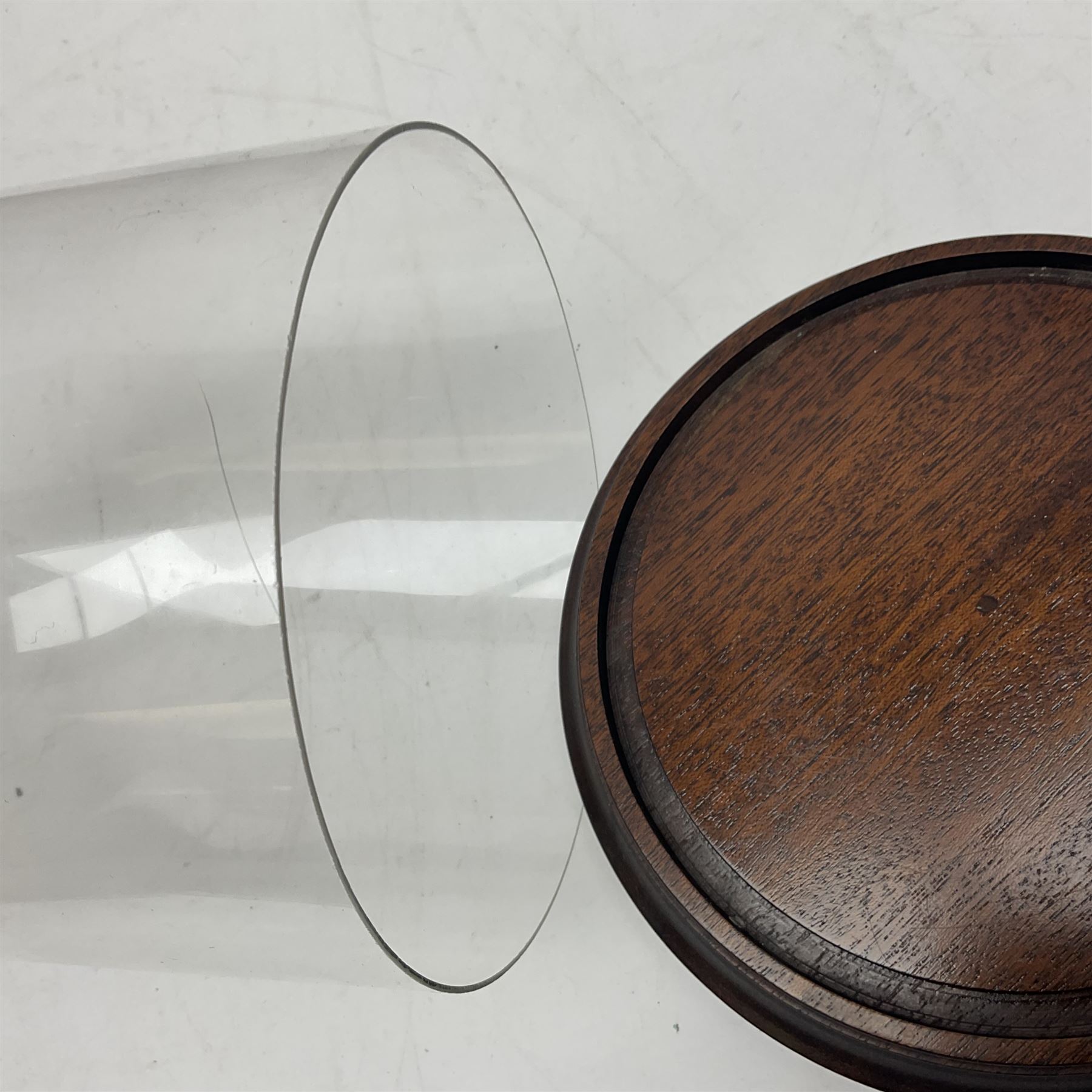 Small glass dome upon a circular wooden base, H20cm