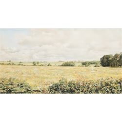 John Mawbey (British 20th Century): 'Poppy Field Near Langton - North Yorkshire', pastel signed titled and dated 1992, 20cm x 37cm 