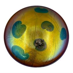 John Ditchfield for Glasform disc paperweight in iridescent yellow with green lily trail a...