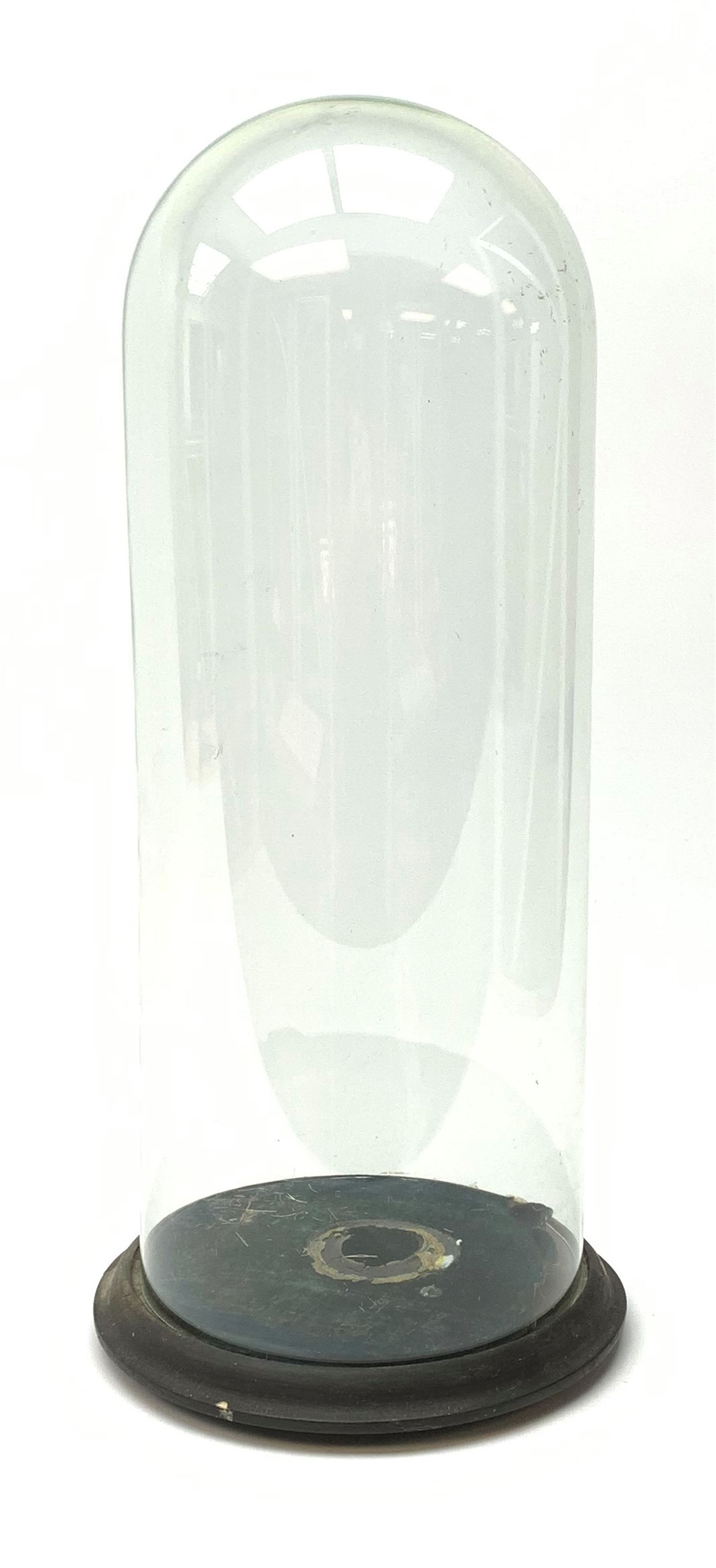 A large modern glass dome upon ebonised base, overall H57cm. 