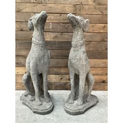 Pair of cast stone French lurchers, seated pose, on shaped plinth