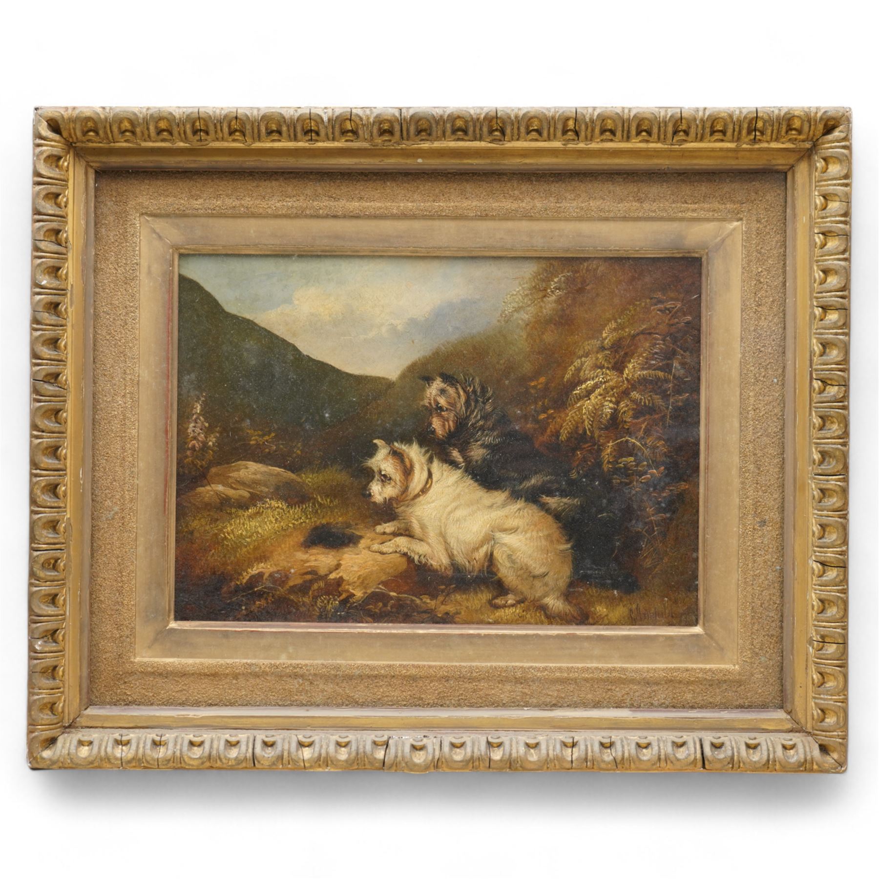 George Armfield (British 1808-1893): Two Terriers on a Hilltop, oil on canvas signed and indistinctly dated 25cm x 34cm