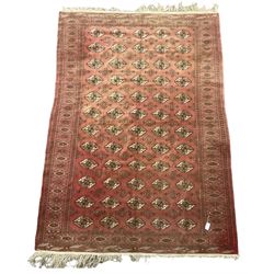 Afghan Bokhara red ground rug, the field decorated with five rows of Gul motifs, guarded border decorated with lozenges and geometric pattern 