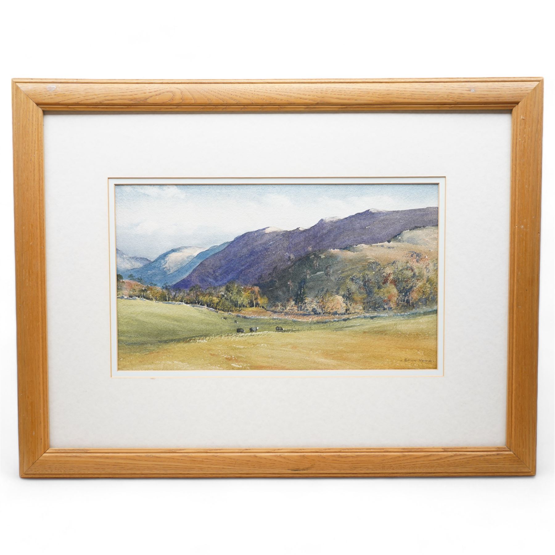 Brian Irving (British 1931-2013): Sheep Grazing in a Cumbrian Landscape, watercolour signed 26cm x 44cm