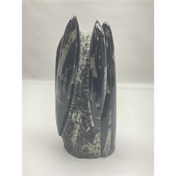 Orthoceras fossil tower, age: Devonian period, H16cm