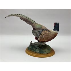 Border Fine Arts Game Birds figure, modelled as a Pheasant, A0659 by Russell Willis, H26cm