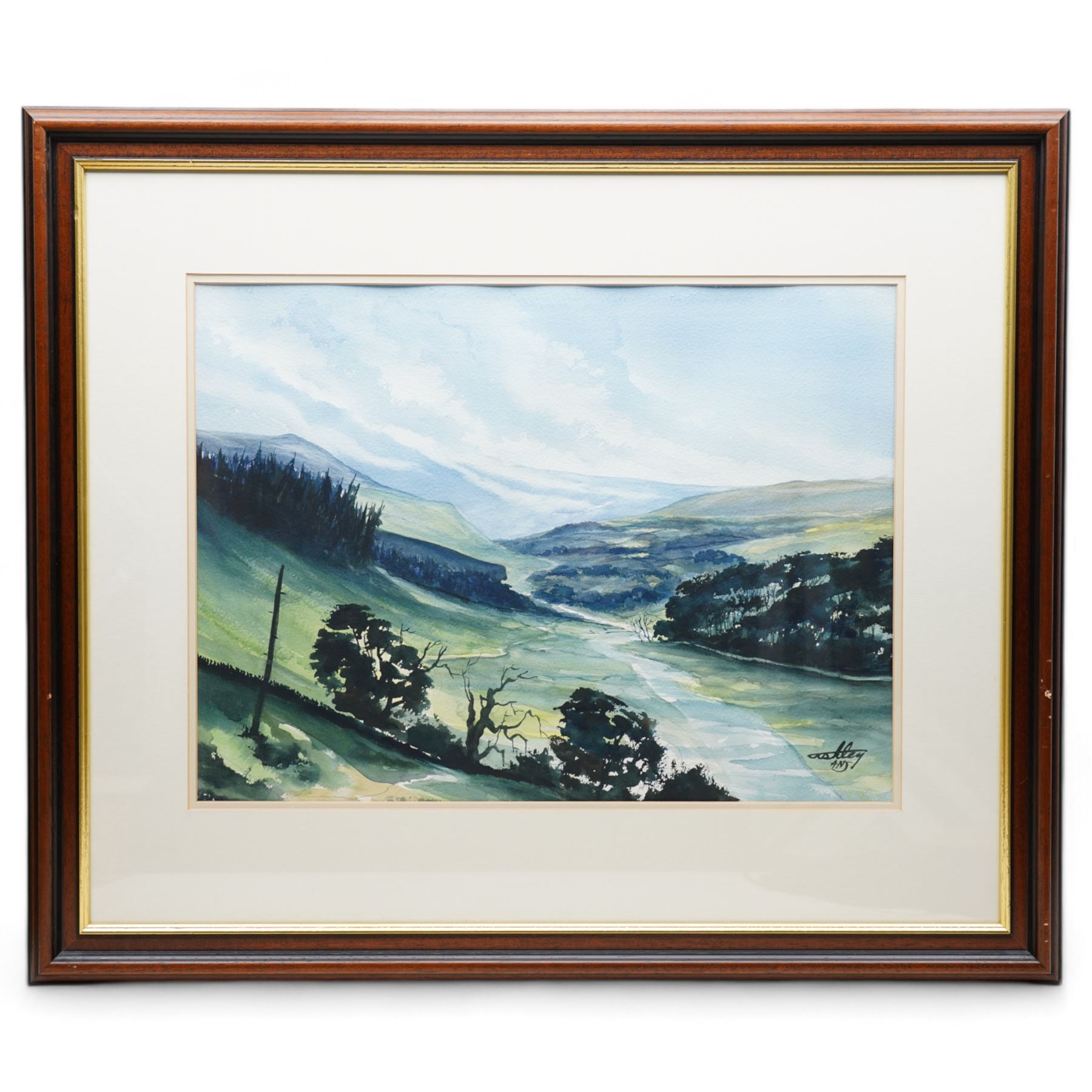 Ashley Jackson (Yorkshire 1940-): 'Muker' Swaledale, watercolour signed, titled on accompanying certificate of authenticity 41cm x 55cm
Provenance: Purchased directly from the artist as part of his TV series 'A Brush with Ashley'