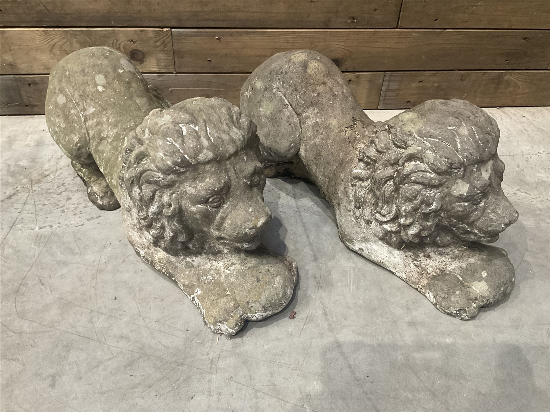 Pair of small cast stone garden recumbent lions